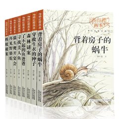 穿救生衣的种子/杨红樱画本 杨红樱系列书全套8册的书 四年级课外书必读名著老师推荐 小学生3-5-6年级阅读畅销书 校园小说故事书