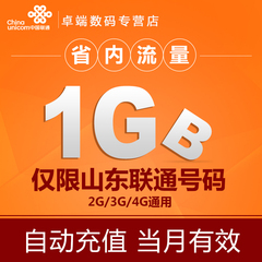 【自动充值】山东联通流量充值 1G省内流量 2G/3G/4G通用