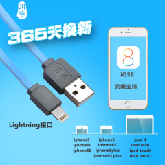 川宇iPhone5数据线 iPhone5s iPhone6 6s Plus数据线充电器线正品