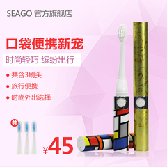 seago/赛嘉声波电动震动牙刷便携式亮白干电池式自动牙刷SG-623