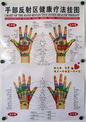 NAUA 手部反射区健康疗法挂图 按摩挂图 教学挂图 手部保健图