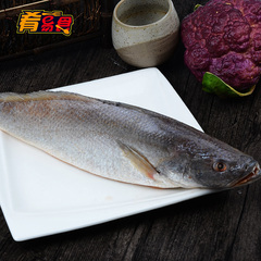 【肴易食】马达加斯加进口三牙鱼900g 海鲜水产食材