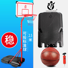 可投标准篮球篮球架 室内户外可升降投篮框架子儿童篮球架