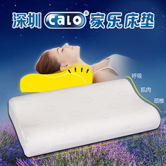 特价 高密回弹热压缩海绵枕芯 超强透气助睡 耐用不变形枕头枕芯