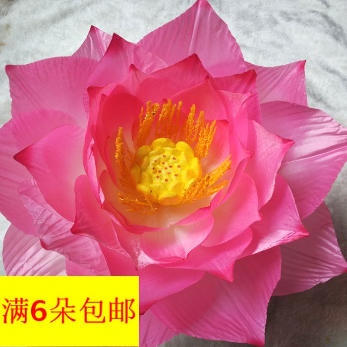 Best Sellers Dance props Lotus simulation Lotus Dried flowers decorate Lotus Lotus Silk flower stage show Artificial flowerin the Flower delivery/Flowers simulation/Plants gardening , Artificial flowers/Plants/Finished fruits and vegetables (New) , Simulation plants category - from Buy2taobao.com to provide professional Taobao agent buy service