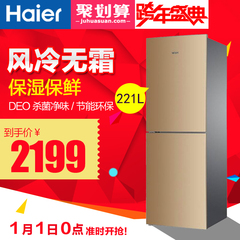 Haier/海尔 BCD-221WDPT 小型冰箱双开门风冷无霜节能家用电冰箱