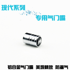 现代全新胜达IX45索纳塔八8名图IX35朗悦动IX25专用气门嘴芯盖帽