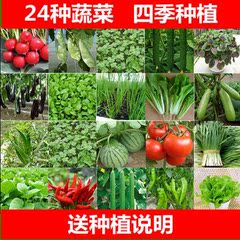 四季蔬菜种子庭院阳台种菜盆栽秋季播水果黄瓜草莓香菜韭菜白菜籽