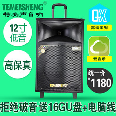 特美声QX-1204广场舞带蓝牙户外音响电瓶移动拉杆广场音箱大功率