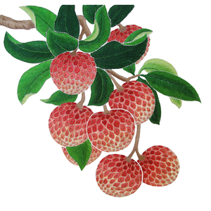 名古绣艺 苏绣刺绣diy套件初学桑蚕丝线绣花材料包手工装饰画荔枝