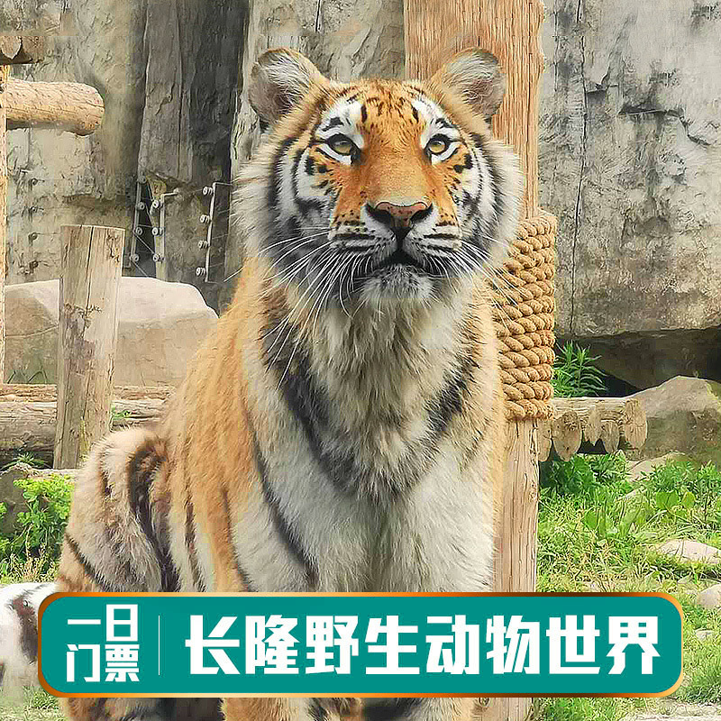 广州长隆野生动物园动物世界野生门票家庭成人门票J