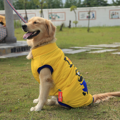 狗狗衣服大狗衣服秋冬装中大型犬金毛衣服哈士奇宠物萨摩耶衣服