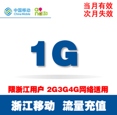 浙江移动手机上网卡流量加油叠加包充值1G 省内234g通用当月有效