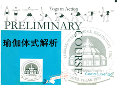 艾扬格瑜伽体式解析 课程编排练习教练教材 中文书籍现货独家发布