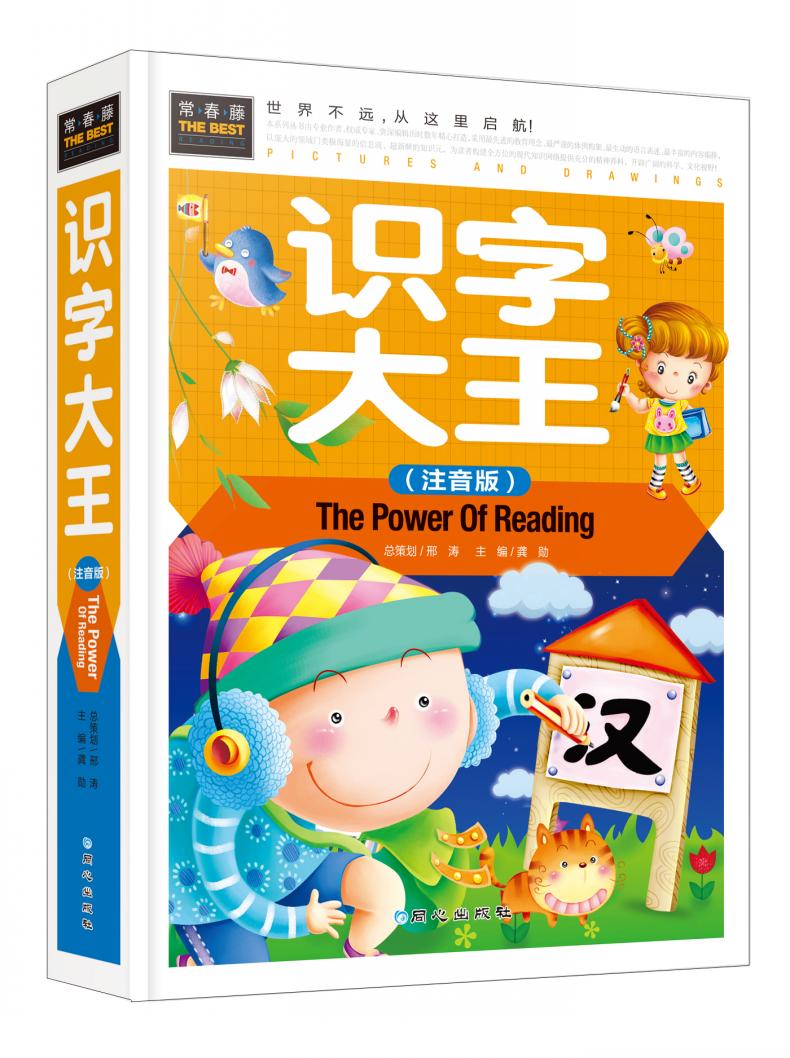 幼儿园学前600字2-3-4-5-6-7岁宝宝看图识字儿童认字早教启蒙图书潜能 正版 识字大王 硬壳精装彩图注音版汉字绘本图画书故事书产品展示图1