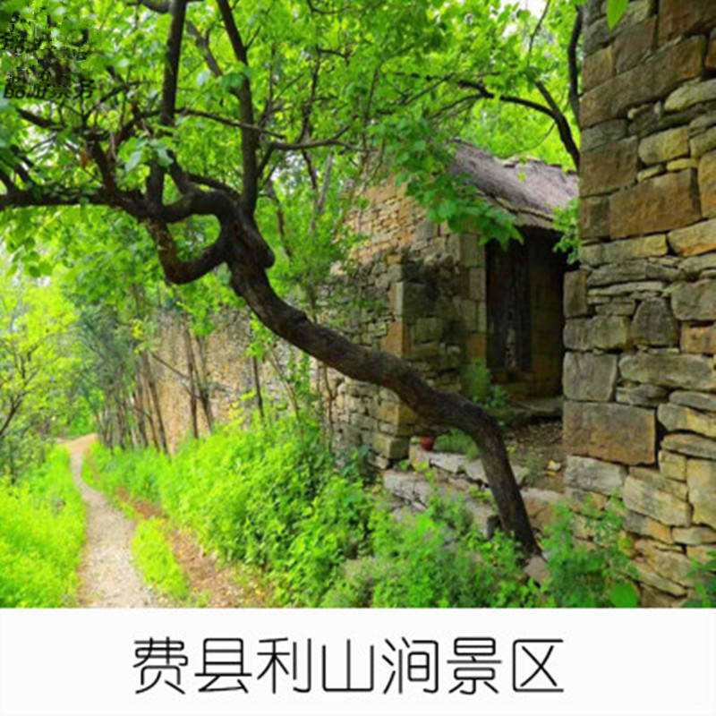 [利山涧百合生态园-大门票]临沂费县利山涧景区门票