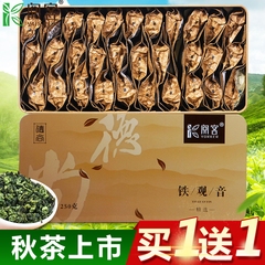 买1送1 铁观音茶叶 浓香型礼盒装 安溪铁观音乌龙茶新秋茶 共500g
