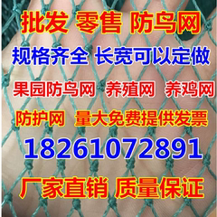 防鸟网 果园防鸟网 菜园防鸟 葡萄防鸟网 养鸡养鸭养鹅网 防护网