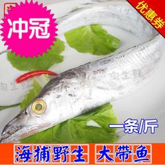 鲜活野生特级大带鱼 新鲜海鲜水产海鱼鲜鱼孕妇宝宝辅食1条拍两件