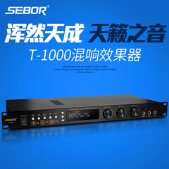 SEBOR T1000 KTV前级效果器专业卡拉OK数字DSP混响器人声均衡器
