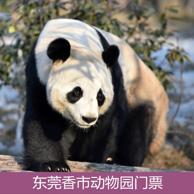 东莞香市动物园门票游乐套票国内票务功效与作用/价格/好不好/哪里买