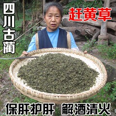 赶黄草 产地赶黄草花叶均有 包邮