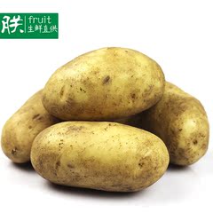 朕 马铃薯黄皮土豆新鲜洋芋新鲜蔬菜 4斤
