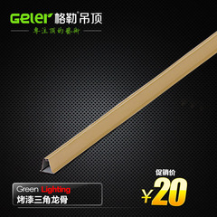 Geler格勒 铝扣板吊顶 三角龙骨 集成吊顶专用配件2.5米烤漆防锈