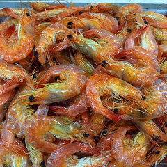 包邮 温州特产即食虾干烤虾对虾干小虾干水产品海鲜干货美食500g