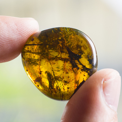 纯天然缅甸琥珀4.5g【金珀罕见大甲虫挂件】插件3