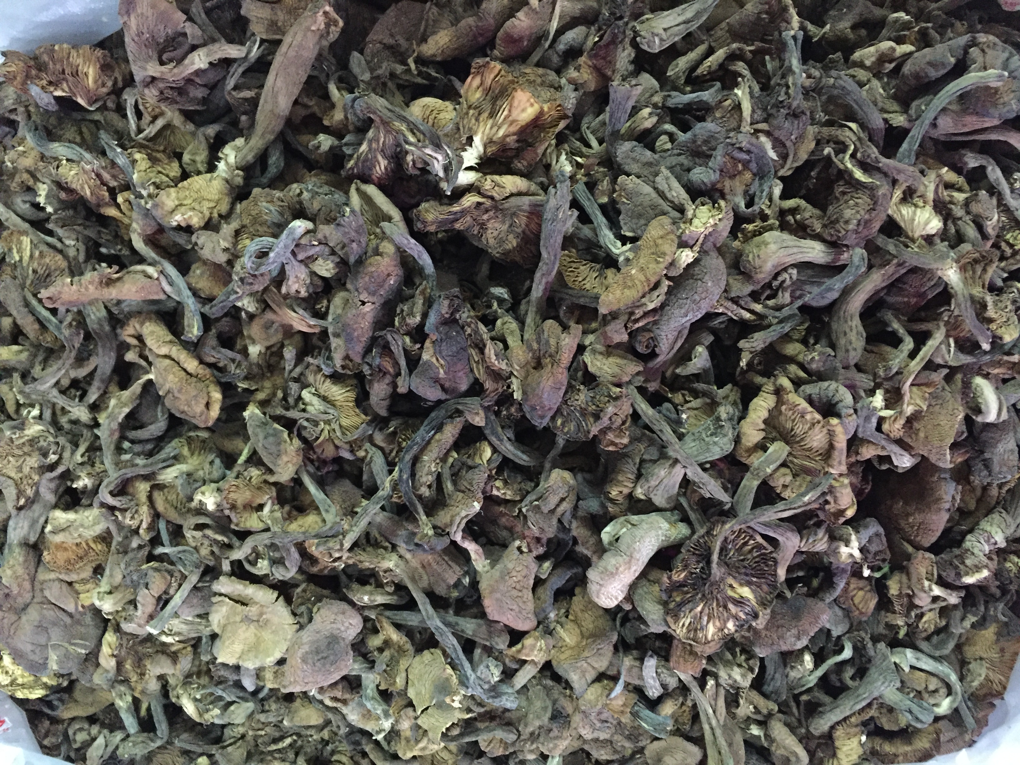 內蒙古特産.呼倫貝爾特産.榛蘑 千順食品有限公司.1斤貝爾額吉在類目 水產肉類/新鮮蔬果/熟食, 新鮮水果, 藍莓中 - 來自Buy2taobao.com提供專業的淘寶代購服務