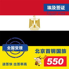 【全国办理】埃及旅游签证代办 个人自由行签证办理商务探亲签证