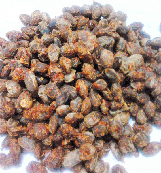 湖北恩施利川土特产农家自制酱豆豉 咸香干豆鼓 麻辣干豆鼓250g