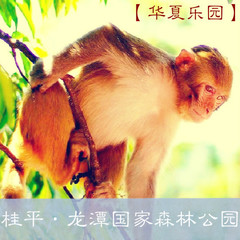 广西4A级旅游景点 贵港市龙潭国家森林公园成人电子门票 即买即用