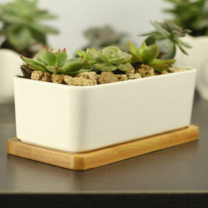 长方形白色花盆图片