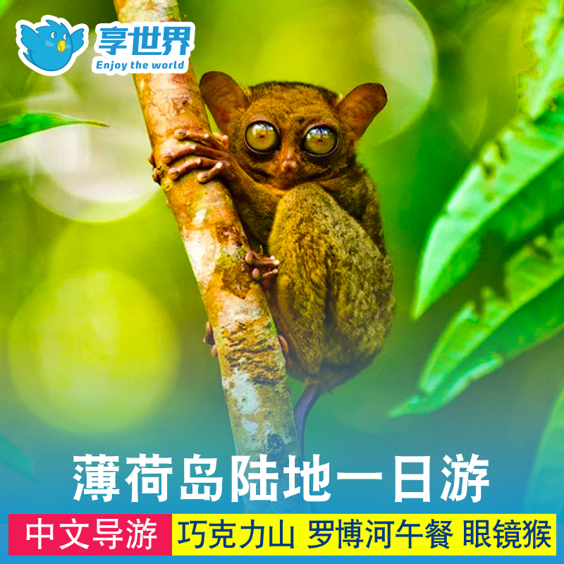 Philippines Bohol Island Land one-day tour project Chocolate Hills Tarsier Robb hotel Shuttle Chinese Guidein the Holiday Line/Visas send off/Travel services , Visit/Tuanyou , Overseas local fun category - from Buy2taobao.com to provide professional Taobao agent buy service