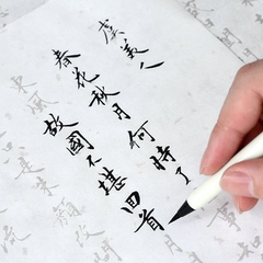 长书毛笔字帖成人小楷练字帖行书行楷书法入门学生描红宣纸初学者