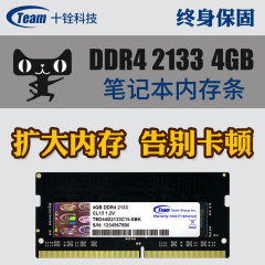 十铨4g内存条DDR4 2133 4GB笔记本内存条 1.2V 四代内存条4g包邮