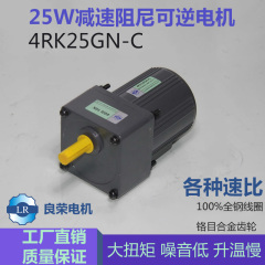 良荣电机 25W 220V交流微型齿轮减速马达阻尼可逆电机 4RK25GN-C