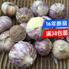 四川特产2016紫皮独头蒜250g独蒜紫皮大蒜头三台巫家沟农家有机蒜