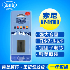 斯丹德 索尼NP-FH100 SR10E/11E/12E/42E/45E/46E/60/62E/82E电池