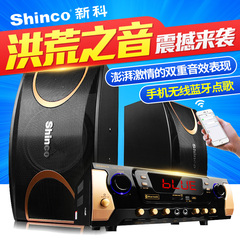 Shinco/新科 U1家庭KTV音响套装 专业卡拉OK音箱会议卡包功放蓝牙