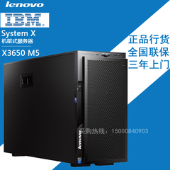 IBM/联想塔式服务器 System X3500 M5 5464I25 6核E5-2609v3 8G