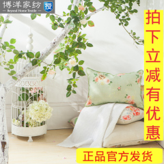 博洋家纺 家居用品 芮菡抱枕 新品 沙发靠垫含芯 30*45