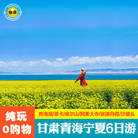 青海湖旅游青海茶卡张掖宁夏沙坡头6日跟团游飞猪旅行兰州进出