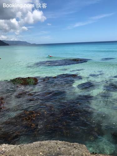 百万玫瑰旅馆