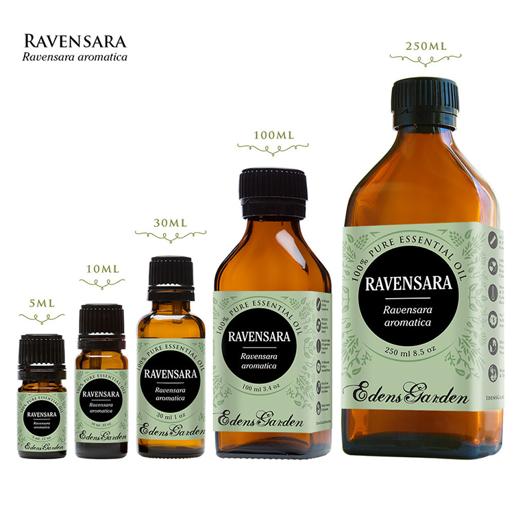Edens Garden- Garden of Eden Ravensara Ravensara Essential oilsin the Sports/Yoga/Fitness/Fans supplies , Yoga , Yoga Aromatherapy category - from Buy2taobao.com to provide professional Taobao agent buy service
