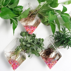 创意玻璃水培花瓶透明壁挂欧式小花瓶 客厅现代绿萝植物装饰花器