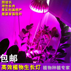 LED植物生长灯 茎叶多肉花卉植物7W12W18W红蓝光合作用补光灯包邮