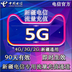 新疆电信流量充值卡5G 流量加油包 可叠加 2G3G4G通用 三月内有效